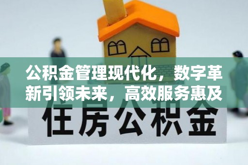 日照公积金管理现代化，数字革新引领未来，高效服务惠及民生