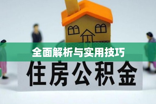 日照全面解析与实用技巧