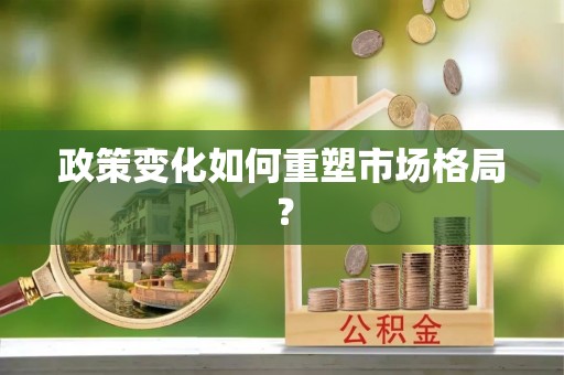 日照政策变化如何重塑市场格局？