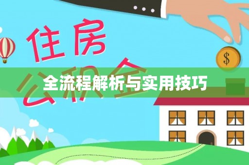 日照全流程解析与实用技巧