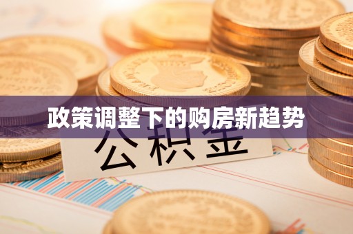 日照政策调整下的购房新趋势