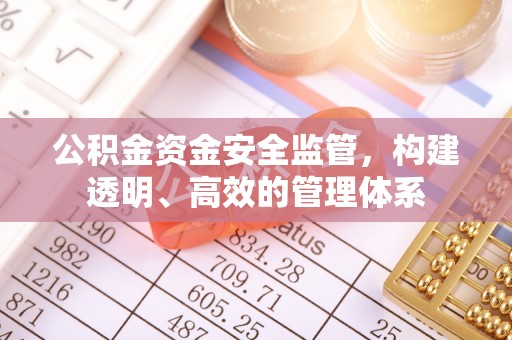 日照公积金资金安全监管，构建透明、高效的管理体系