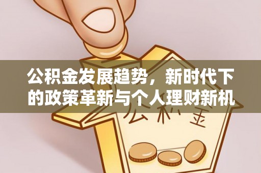 日照公积金发展趋势，新时代下的政策革新与个人理财新机遇