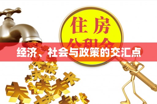 日照经济、社会与政策的交汇点