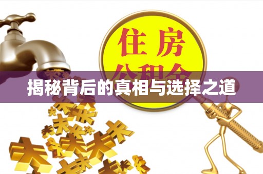日照揭秘背后的真相与选择之道