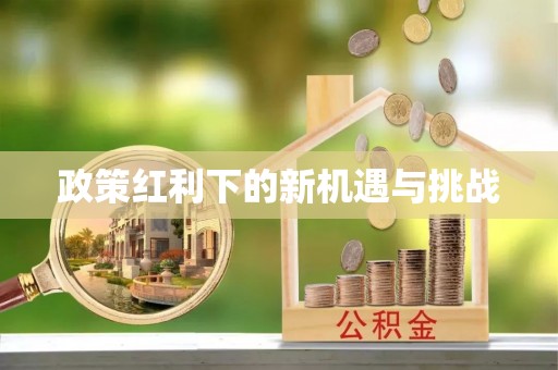 日照政策红利下的新机遇与挑战