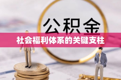 日照社会福利体系的关键支柱