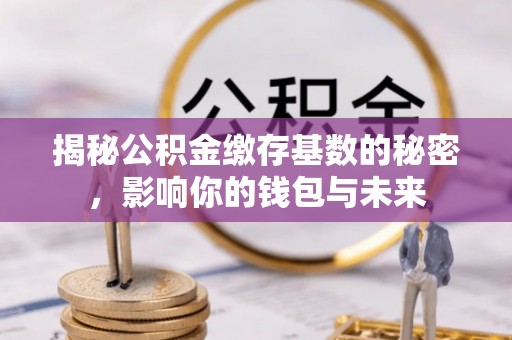 日照揭秘公积金缴存基数的秘密，影响你的钱包与未来