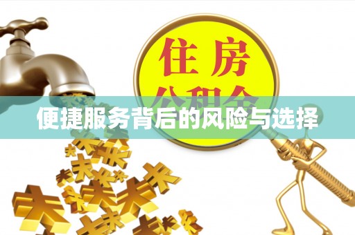 日照便捷服务背后的风险与选择
